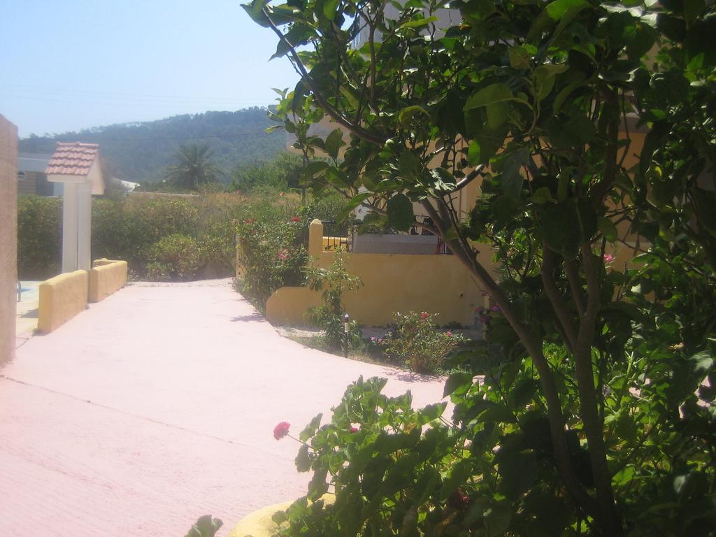 Βίλλα Σοφία Aparthotel Ιαλυσός Ρόδος Δωμάτιο φωτογραφία